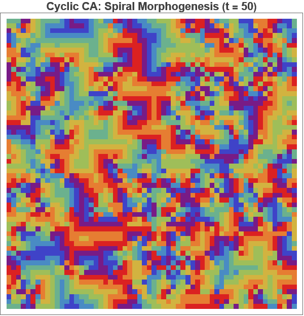 Graphics:Cyclic CA: Spiral Morphogenesis (t =&nbsp;&nbsp;50)